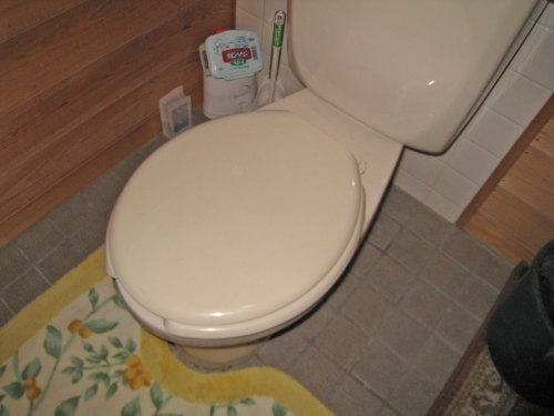 toilet002_01-before__2.jpg