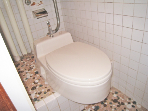 toilet003_02-after.jpg