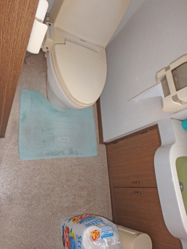 toilet008_02-before.jpg